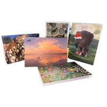 Load image into Gallery viewer, Christmas Cards
